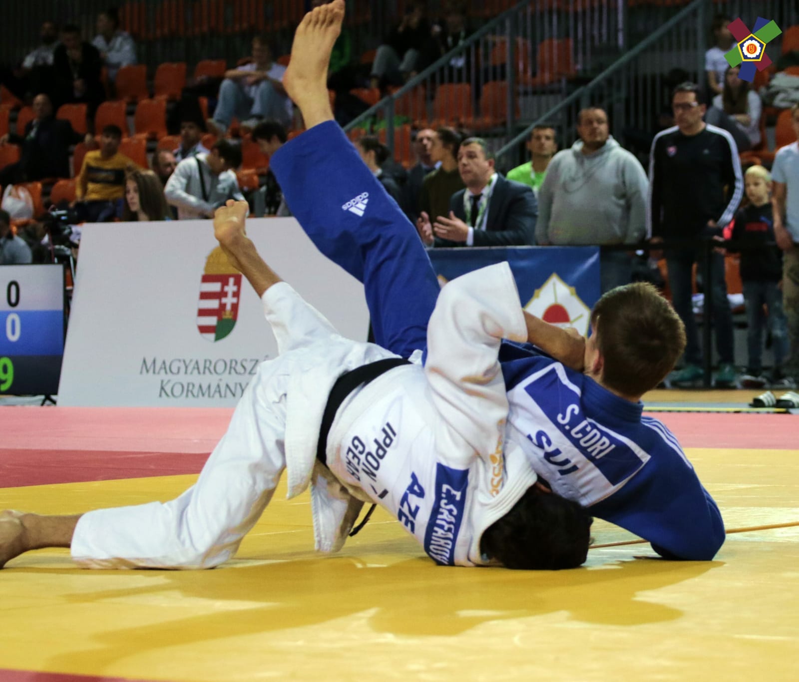 WhatsApp-Image-2023-11-12-a-17.02.20_60584cf3